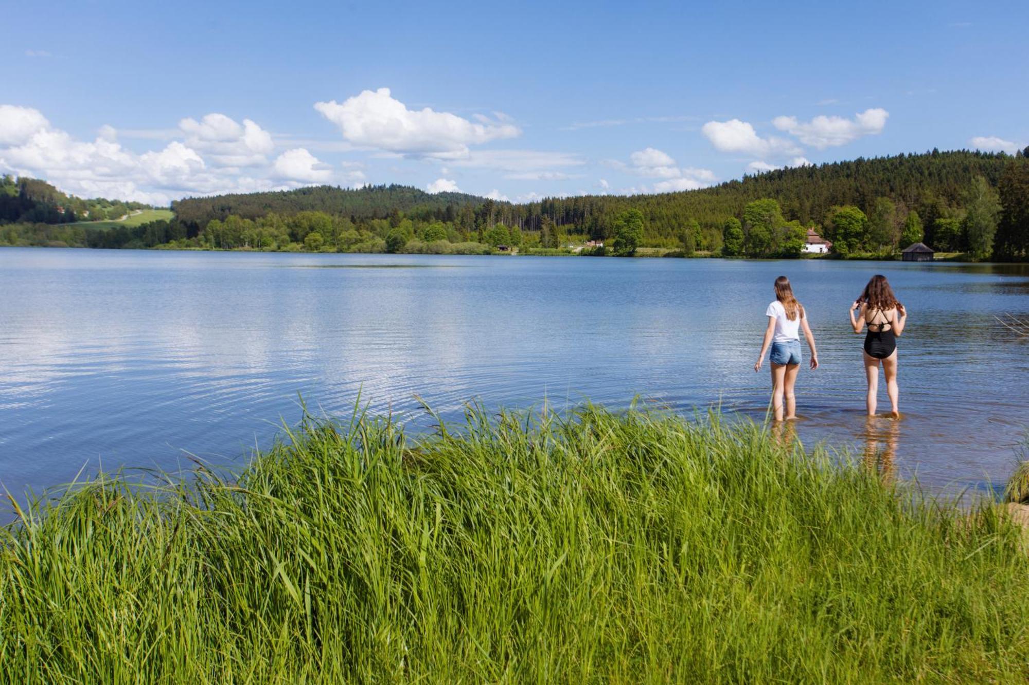 Resort Olsina Horní Planá Eksteriør bilde