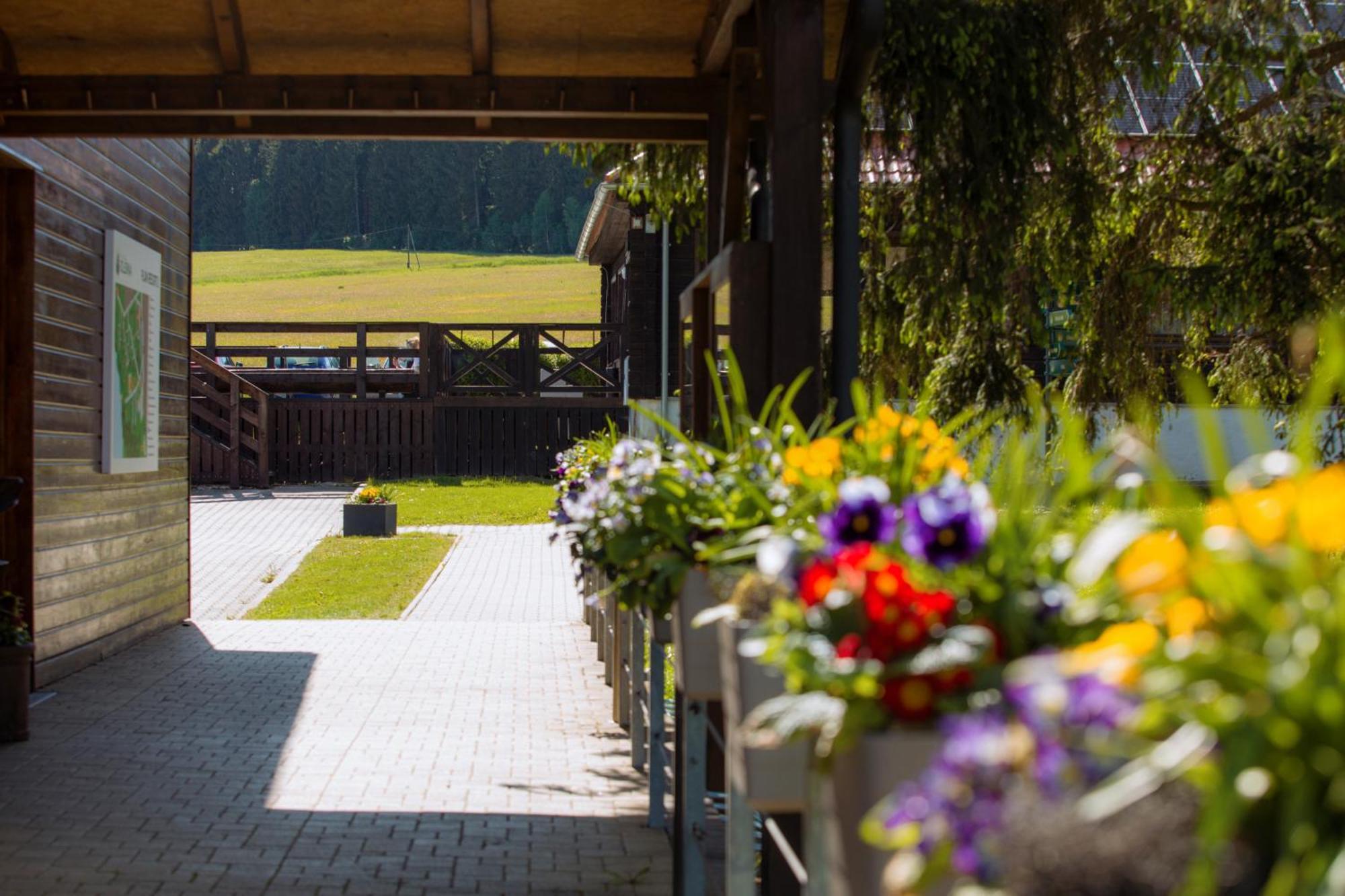 Resort Olsina Horní Planá Eksteriør bilde