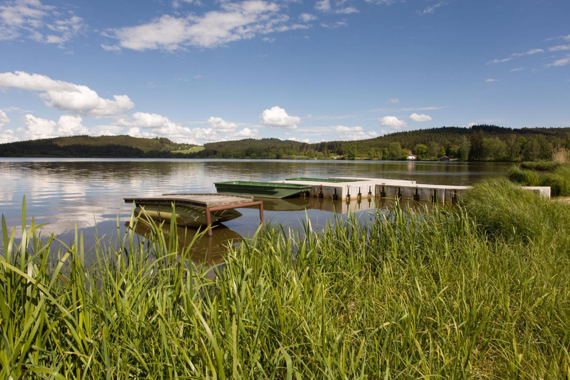 Resort Olsina Horní Planá Eksteriør bilde