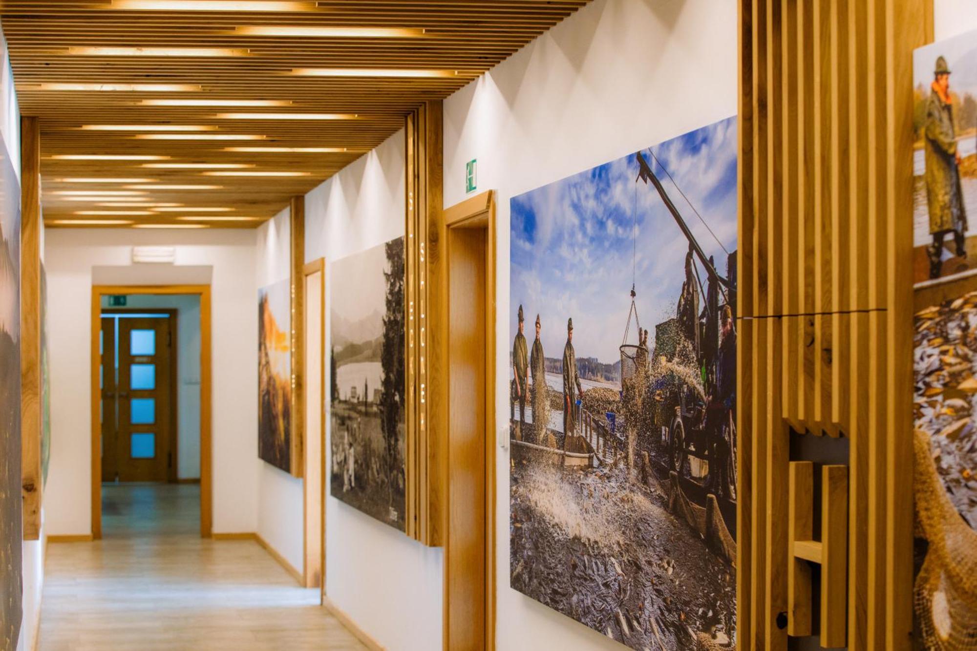Resort Olsina Horní Planá Eksteriør bilde